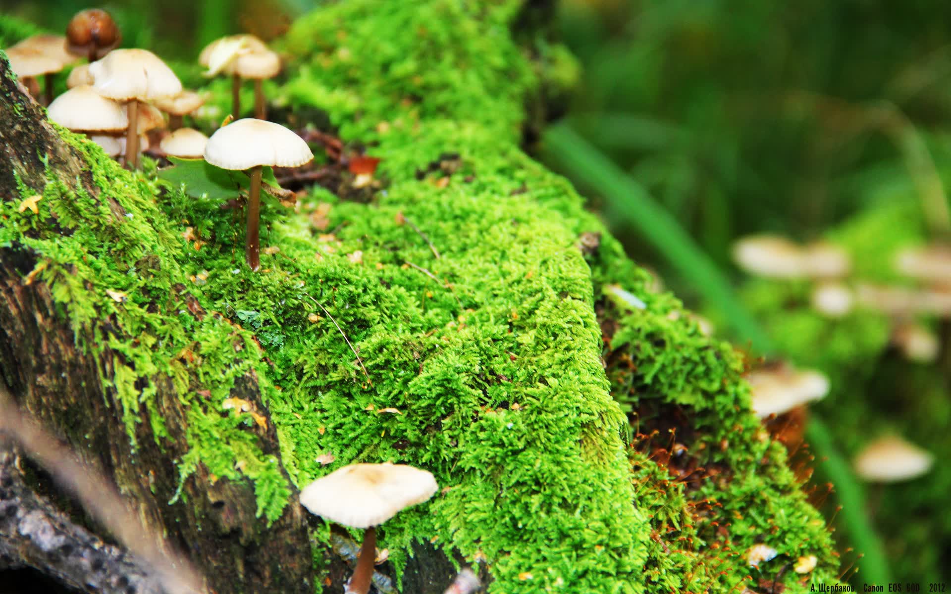 世界游艇青年赛赛事运营评估报告发布,游艇设计比赛